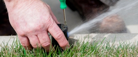 Irrigation Services